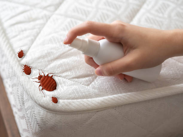 Pest Control Cost in Naples, UT